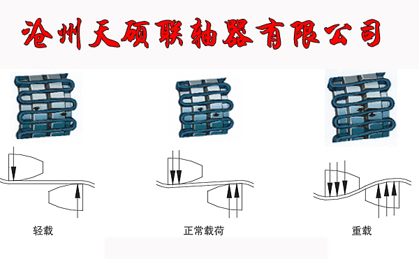 蛇形弹簧联轴器