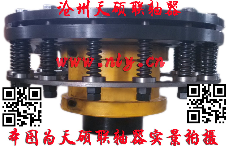 安全型蛇形弹簧联轴器,连轴器,蛇形弹簧联轴器