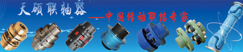沧州天硕联轴器有限公司